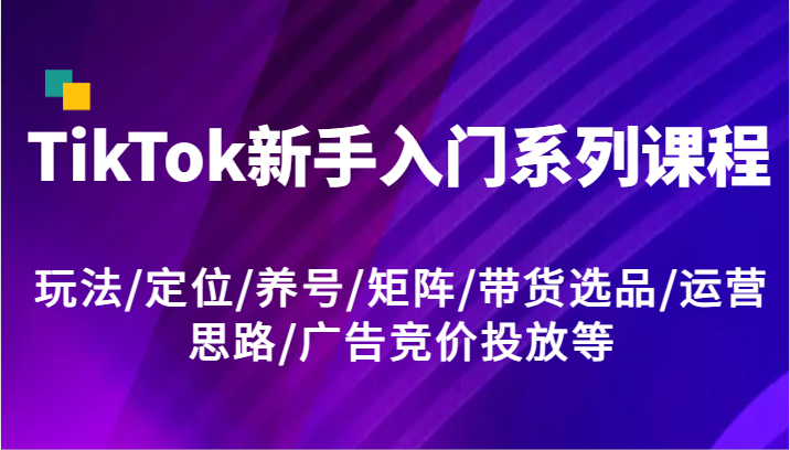 TikTok新手入门系列课程，玩法/定位/养号/矩阵/带货选品/运营思路/广告竞价投放等-皓哥创业笔记
