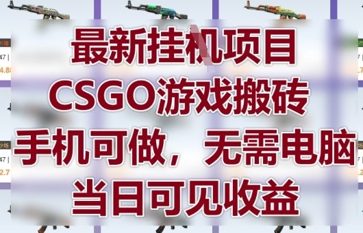 最新挂G项目，CSGO游戏搬砖，手机可做，无需电脑，当日见收益【揭秘】-皓哥创业笔记