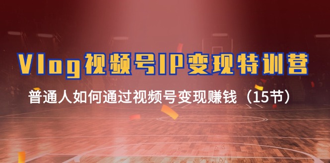 Vlog视频号IP变现特训营，普通人如何通过视频号变现赚钱（15节）-皓哥创业笔记