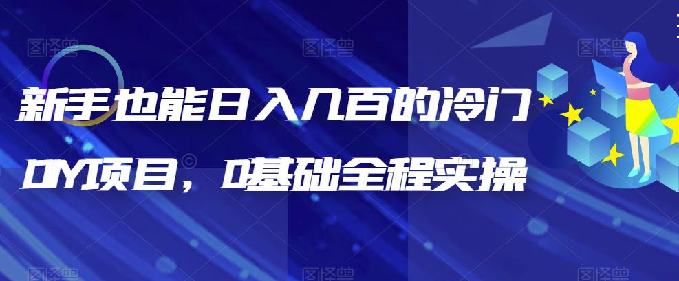 （6630期）新手也能日入几百的冷门DIY项目，0基础全程实操【揭秘】-皓哥创业笔记