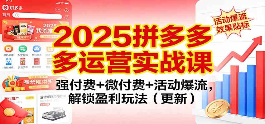 2025拼多多运营实战课：强付费+微付费+活动爆流，解锁盈利玩法（更新）-皓哥创业笔记