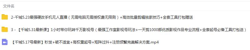 （1344期）1小时带你玩转千万影视号：专业起号+模板制作+1天剪1000部影视+全套工具-皓哥创业笔记