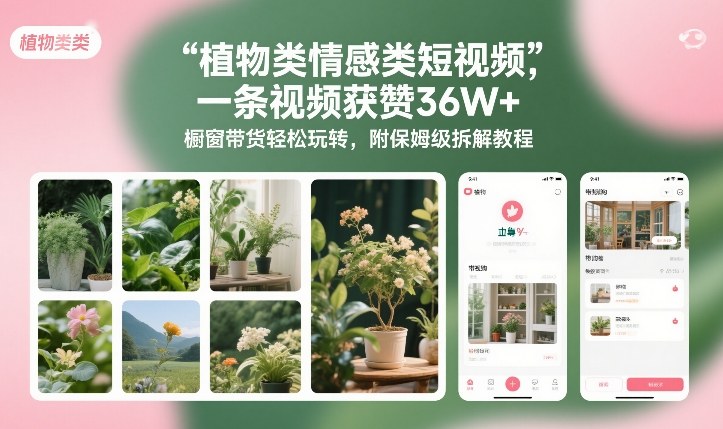 植物类情感类短视频，一条视频获赞36W+，橱窗带货轻松玩转，附保姆级拆解教程-皓哥创业笔记