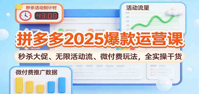 拼多多2025爆款运营课：秒杀大促、无限活动流、微付费玩法，全实操干货-皓哥创业笔记