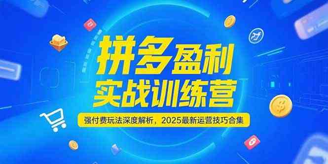 拼多多盈利实战训练营，强付费玩法深度解析，2025最新运营技巧合集-皓哥创业笔记