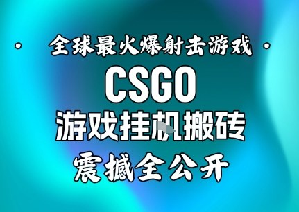 【年底大揭秘】基于全球最火爆的射击CSGO游戏挂G搬砖，日入5张+，震撼公开-皓哥创业笔记
