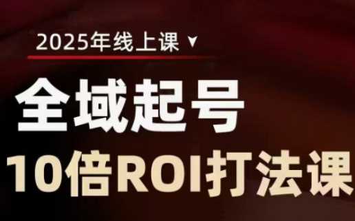 2025全域起号10倍ROI打法课,助你提升直播间的投资回报率-皓哥创业笔记