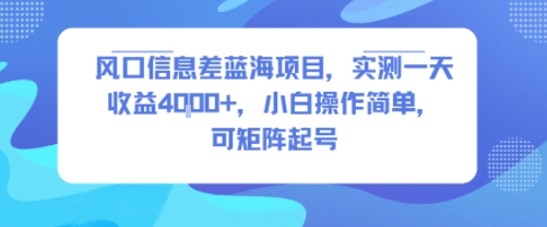 风口信息差蓝海项目，实测一天收益4k+，小白操作简单，可矩阵起号-皓哥创业笔记