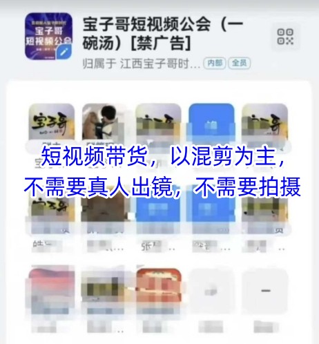 宝子哥头部团队短视频带货，以混剪为主，不需要真人出镜，不需要拍摄【更新12月】-皓哥创业笔记