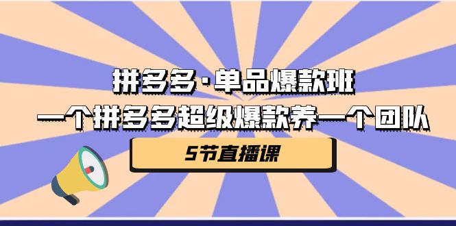 （7019期）拼多多·单品爆款班，一个拼多多超级爆款养一个团队（5节直播课）-皓哥创业笔记
