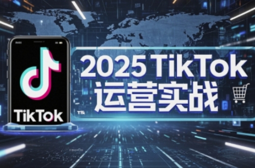 2025TikTok电商运营，掌握TikTok店铺运营核心技巧，实现低成本高转化-皓哥创业笔记