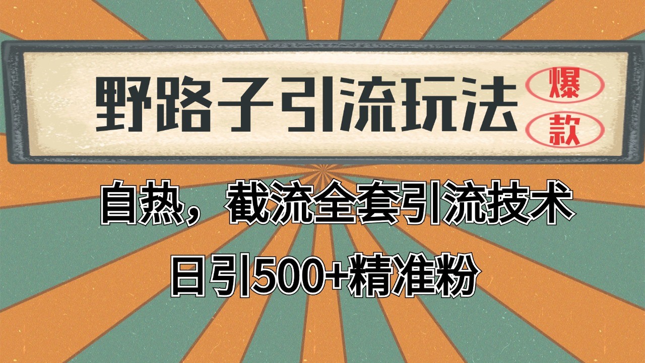 2024首发野路子引流玩法截流自热全平台打法，全自动引流【日引2000+精准客户】-皓哥创业笔记