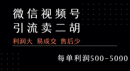 视频号卖二胡教程，利润大 易成交 售后少，一单利润5张+-皓哥创业笔记
