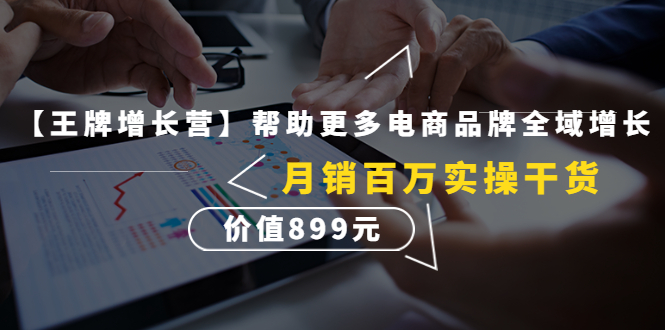 （4264期）【王牌增长营】帮助更多电商品牌全域增长，月销百万实操干货，价值899元-皓哥创业笔记