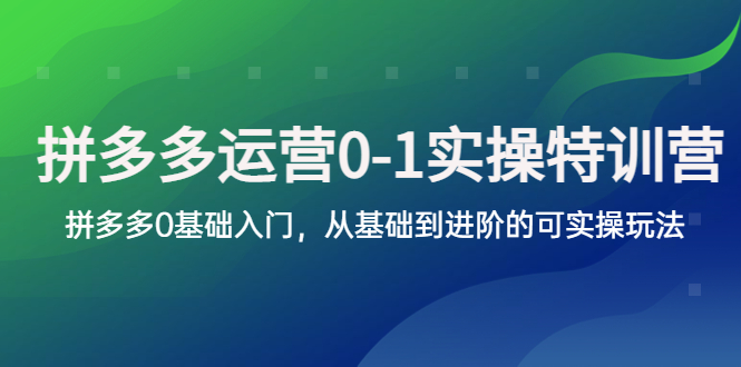 （5747期）拼多多-运营0-1实操训练营，拼多多0基础入门，从基础到进阶的可实操玩法-皓哥创业笔记