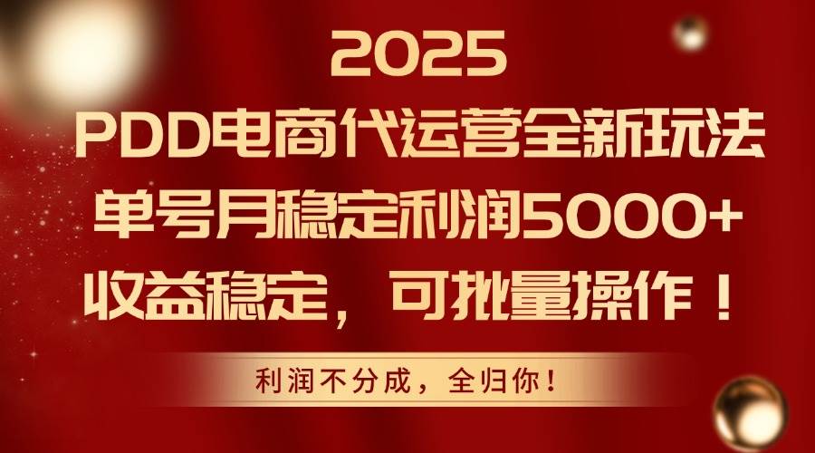 （14839期）2025PDD电商代运营全新玩法，单号月稳定利润5000+，收益稳定，可批量操作-皓哥创业笔记