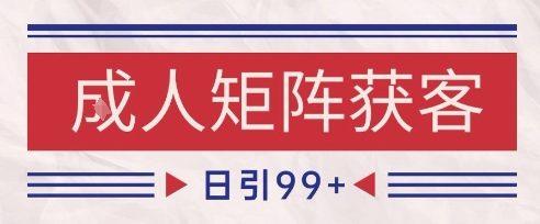 小红书某音橙人赛道引流获客，自热矩阵日引200+【揭秘】-皓哥创业笔记