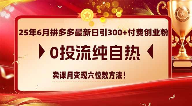 （14989期）25年6月拼多多最新日引300+付费创业粉，0投流纯自热 卖课月变现六位数方法-皓哥创业笔记