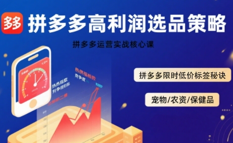 拼多多选品暴利技术实战课，拼多多高利润选品策略，拼多多限时低价标签秘诀-皓哥创业笔记