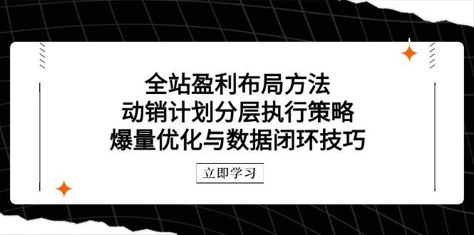 （14698期）全站盈利布局方法：动销计划分层执行策略，爆量优化与数据闭环技巧-皓哥创业笔记