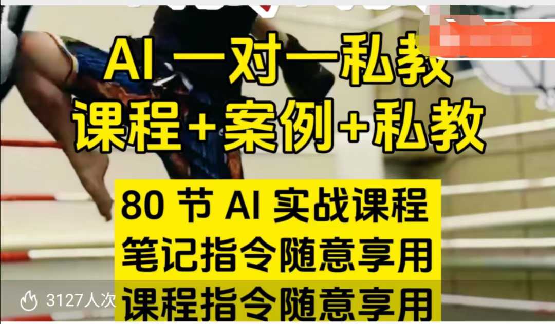 AI指令实战课,课程+案例,80节AI实战课程,笔记指令随意享用,课程指令随意享用(更新7月)-皓哥创业笔记
