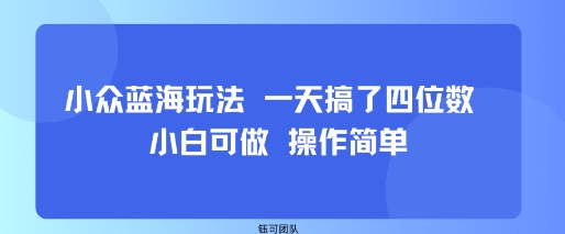 小众蓝海玩法 一天搞了四位数 小白可做 操作简单-皓哥创业笔记