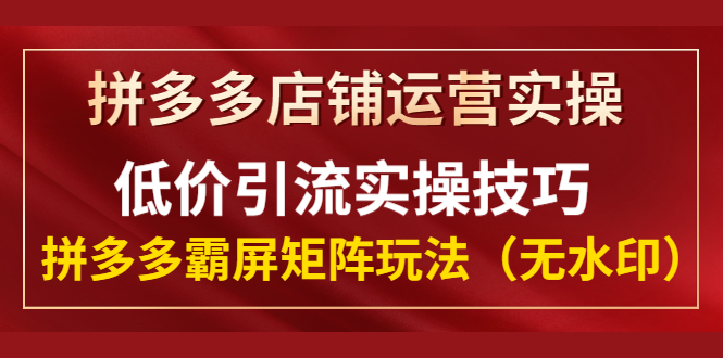 （1342期）拼多多店铺运营实操，低价引流实操技巧，拼多多霸屏矩阵玩法（无水印）-皓哥创业笔记