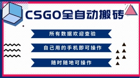 CSGO全自动搬砖，年底钱回家好项目，当天可拿到结果，新手小白轻松月入1W+【揭秘】-皓哥创业笔记