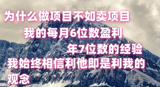 做项目不如卖项目,每月6位数盈利,年7位数经验-皓哥创业笔记