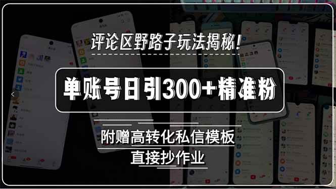 （15466期）评论区野路子玩法揭秘！单账号日引300+精准粉，附赠高转化私信模板，直…-皓哥创业笔记