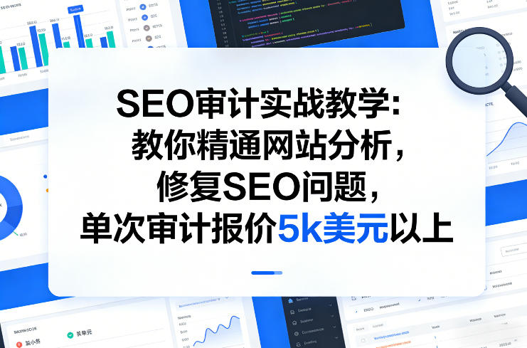 SEO审计实战教学：教你精通网站分析，修复SEO问题，单次审计报价5k美元以上-皓哥创业笔记