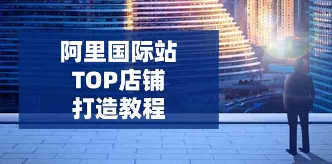 阿里国际站TOP店铺打造教程：涵盖平台到高阶，解决运营难题，提升询盘-皓哥创业笔记