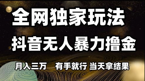 全网独家玩法抖音无人暴力撸金,月入3W,有手就行,当天拿结果【揭秘】-皓哥创业笔记