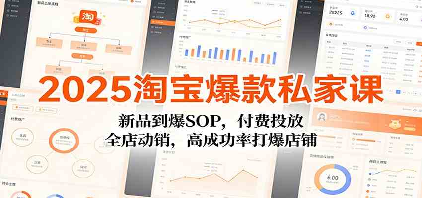 2025淘宝爆款私家课：新品到爆SOP，付费投放，全店动销，高成功率打爆店铺-皓哥创业笔记