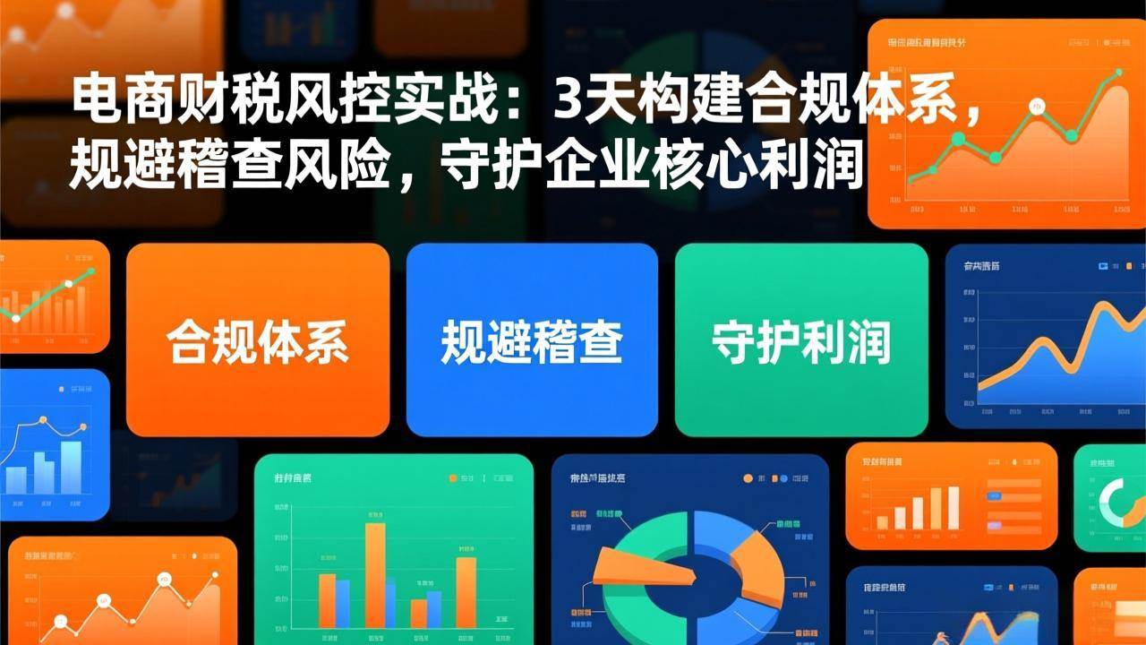 （17197期）电商财税风控实战：3天构建合规体系，规避稽查风险，守护企业核心利润-皓哥创业笔记