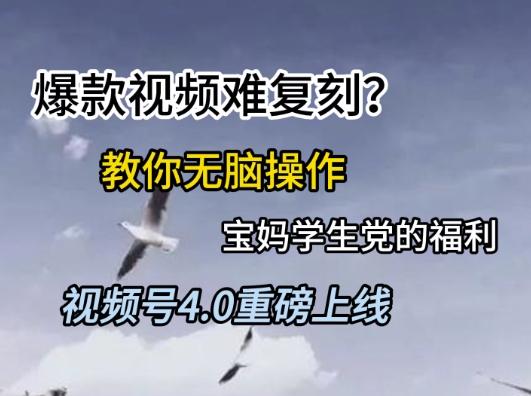 视频号4.0重磅上线，爆款视频难复刻？教你无脑操作宝妈学生党的福利【揭秘】-皓哥创业笔记