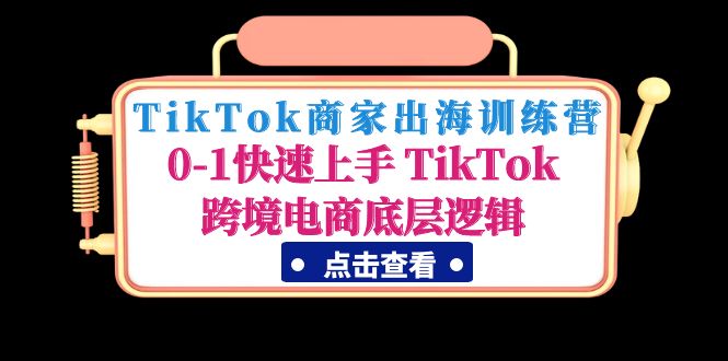 （4795期）TikTok商家出海训练营：0-1快速上手 TikTok跨境电商底层逻辑(无中创水印)-皓哥创业笔记
