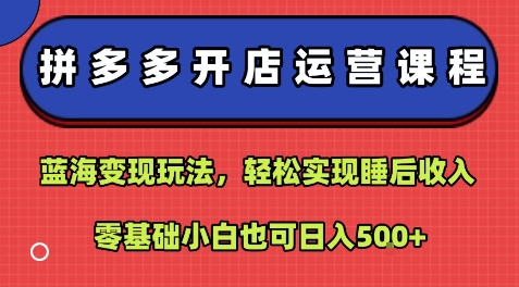 拼多多开店运营课程：蓝海变现玩法，轻松实现睡后收入，零基础小白也可日入5张-皓哥创业笔记