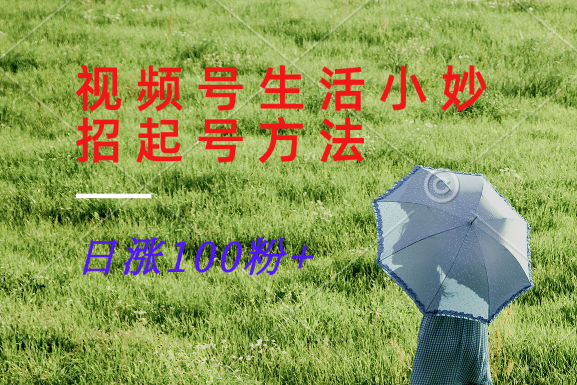 视频号生活小妙招分享赛道， 起号涨粉新方法，日涨100粉-皓哥创业笔记