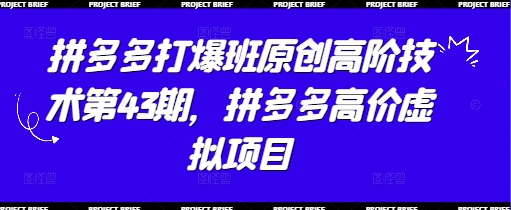 拼多多打爆班原创高阶技术第43期，拼多多高价虚拟项目-皓哥创业笔记