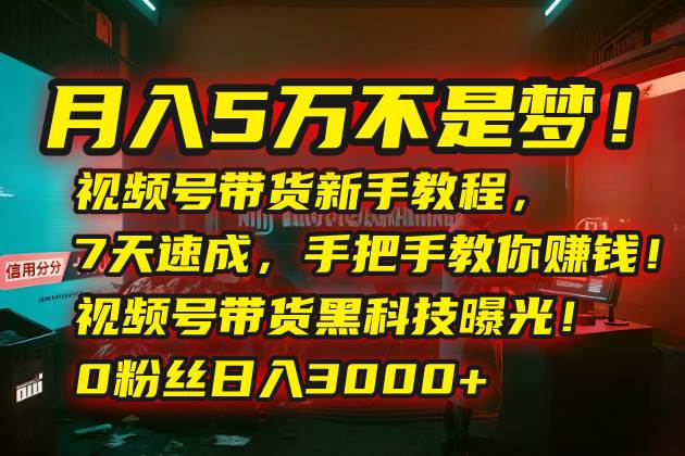 （15595期）月入5万不是梦！视频号带货新手教程，7天速成，手把手教你赚钱！视频号…-皓哥创业笔记