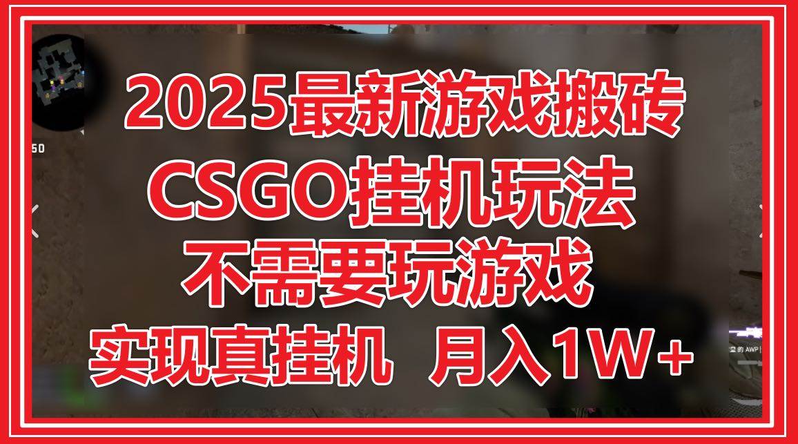 （14743期）2025最新游戏搬砖，CSGO挂机，不需要玩游戏，实现真挂机，月入1W+-皓哥创业笔记