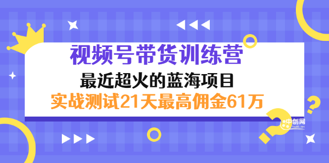（2946期）外面收899【视频号带货训练营】最近超火：实测21天最高佣金61W(7月4日更新)-皓哥创业笔记