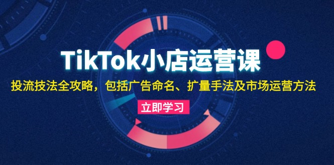（13063期）TikTok小店运营课：投流技法全攻略，包括广告命名 扩量手法及市场运营方法-皓哥创业笔记