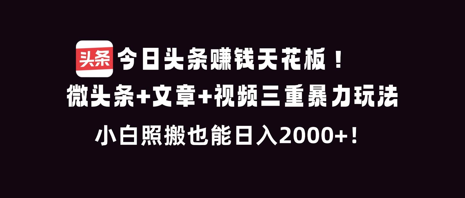 （16888期）今日头条赚钱天花板！微头条+文章+视频三重暴利玩法，小白照搬也能日人2000+-皓哥创业笔记