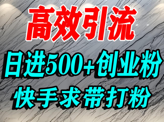 怎么打创业粉？快手求带视角精准引流创业粉，宝妈、学生群体日进500+精准流量-皓哥创业笔记