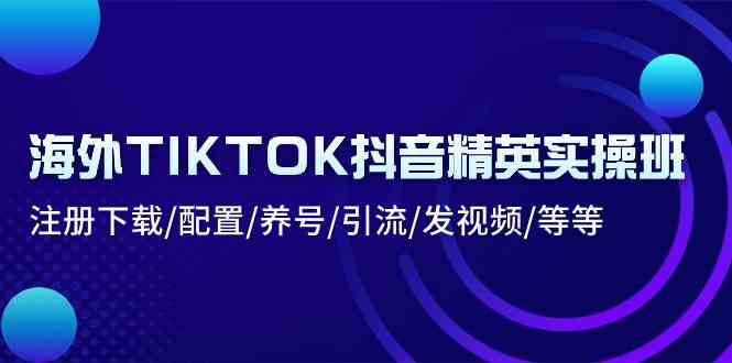 海外TIKTOK抖音精英实操班：注册下载/配置/养号/引流/发视频/等等-皓哥创业笔记