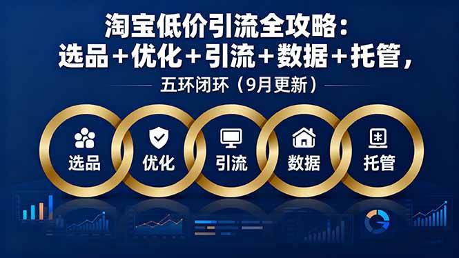 （16009期）淘宝低价引流全攻略：选品＋优化＋引流＋数据＋托管，五环闭环（9月更新）-皓哥创业笔记