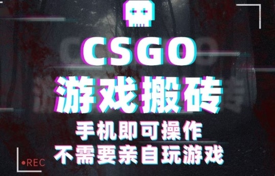 CSGO游戏挂G捡漏，单日扫货5张+，年底小高峰上车可吃肉，手机即可操作，兼职副业创业网创【揭秘】-皓哥创业笔记