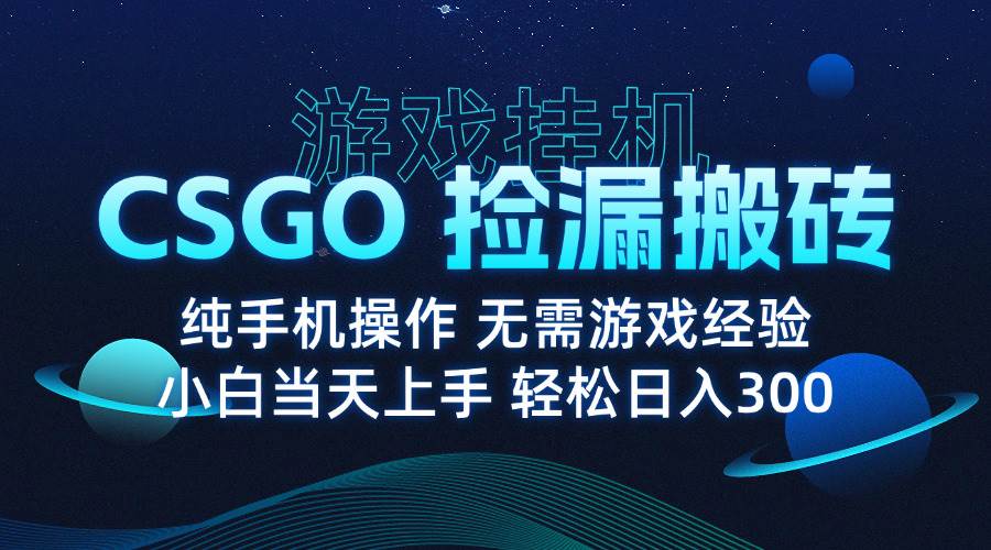 （15820期）8月最新游戏搬砖，CSGO纯挂机，不需要玩游戏，实现真挂机，月入1W+-皓哥创业笔记
